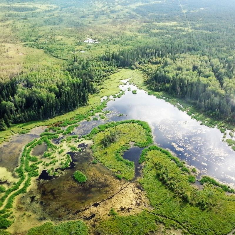 Wetland Assessments | Compass Geomatics